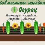 впр 4 класс русский язык 2019 ответы волкова 10 вариантов Vpr Okruzhayushij Mir 4 Klass 25 Variantov Tipovye Zadaniya Volkova E V Citovich G I 2017 5 Klass Shkolniki Klass