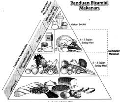 Check spelling or type a new query. Piramid Makanan 2020
