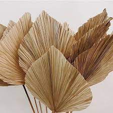 Malina Kragmann On Instagram Dried Palm Dried Flowers Dried Flower Arrangements