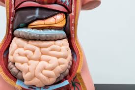 In the meantime i am so scared as it's getting worse and i don't know if it's colon diverticulitis masking cancer disease. Diving Into Diverticulitis What Causes This Condition How To Heal Your Gut