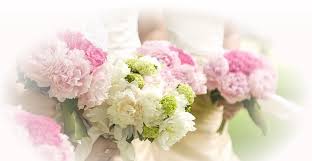 Maybe you would like to learn more about one of these? Essence Wedding Flowers Just Another Wordpress Site