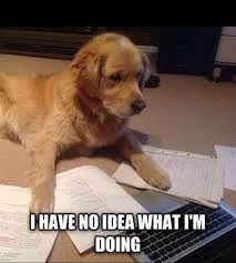 I Have No Idea What I Am Doing Dog Puns Funny Dogs Dog Memes