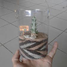 Selanjutnya, cara merawat terarium antara lain : Saatnya Membuat Terrarium Kaktus Tamanbuahmekarsari Gard Flickr