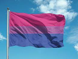 Esta bandera fue diseñada por michael page para representar a la comunidad bi y apareció por primera vez durante el aniversario del bicafe, en estados unidos. Bandera Orgullo Bisexual Para Exterior Comprar Online En Tienda Lgbt