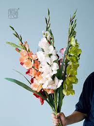 pin by ammily wu on 我的作品 crown jewelry crown