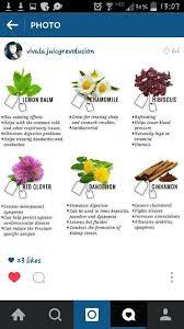 Common Plants Amazing Benefits Like Red Clover Dandelion Lemon Balm Chamomile Hibiscus Cinnamon Healing Tea Medicinal Tea Red Clover Benefits
