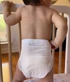 What is the Best Luxury Diaper on the Market? (2025) | The ...