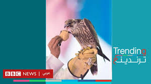 Последние твиты от bbc news عربي (@bbcarabic). Ø§Ù„Ø³Ø¹ÙˆØ¯ÙŠØ© Ø¨ÙŠØ¹ Ø£ØºÙ„Ù‰ ØµÙ‚Ø± ÙÙŠ Ø§Ù„Ø¹Ø§Ù„Ù… Bbc News Ø¹Ø±Ø¨ÙŠ Ù…Ù‚Ø§Ù„Ø§Øª Ø§Ù„ÙŠÙˆÙ… News Tn