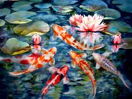 Free white background images including geometric shapes, abstract images, people, textures, animations, background images, wallpapers, graphics. Koi Fish Wallpapers 63 Background Pictures