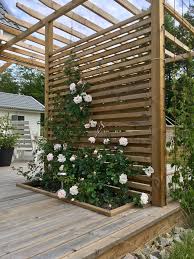 Remise Sur Terrasse En Bois Avec Rosier Grimpant New Dawn Sous Pergola 2019 En 2020 Terrasse Bois Terrasse Jardin Bois Terrasse Jardin