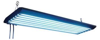 Tek Light T5 Fixtures By Sunlight Supply Salty Critter Your Saltwater Specialists