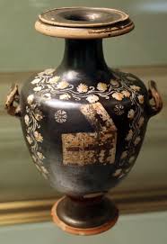 Image result for Dignathia