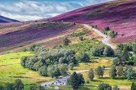 Cheap Car Rental At Inverness Airport From 23 Day Compare 116 Hertz Budget Avis Alamo Dollar Best Deals Discover Cars