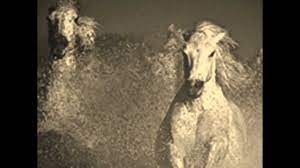 Wild Horses The Rolling Stones Lyrics Youtube