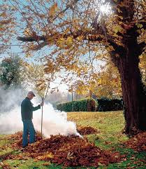 I literally scrubbed all affected areas with a wire brush to remove the fungus to get wood in today. Monty Don Keep The Home Fire Burning With A Garden Bonfire Daily Mail Online