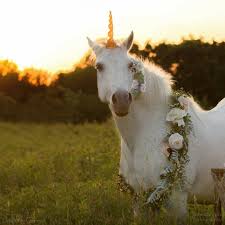 Unicorn cabin in the woods. The Big List Of Movies With Unicorns In Them Tinselbox