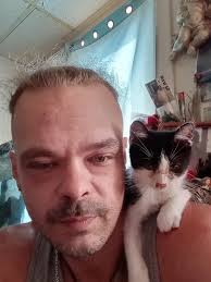 Introduction with a pet photo