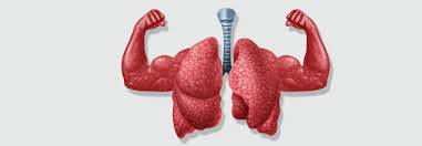 The two main types of copd are chronic bronchitis and emphysema. Nach Copd Exazerbation Besser Fruh Als Spat In Die Lungenreha Medical Tribune