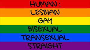 Lgbti advocates have overcome enormous challenges and risks to their own personal safety to call out abuses of the human rights of lgbti people, and force changes to laws that discriminate against them. Pin On Text