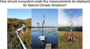 Image result for Ondo Blue 1990 Tracer