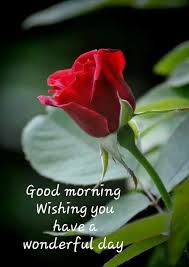 35 Inspirational Good Morning Quotes With Beautiful Images Good Morning Quotes Love Good Morning Quotes Good Morning Love Messages