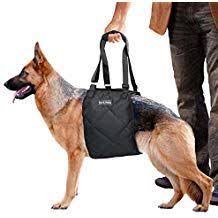 Dog Lift Harness Sling Acl Brace For Rear Leg Support Of Xl Old Dogs Help Em Up Carrier Knee Limping Joint Hock Hip Injurie Hip Injuries Dog Sling Dog Help
