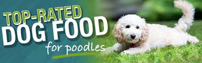 Best Dog Food For A Poodle Buying Guide Recommendations