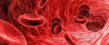 Perioada din momentul în care mycobacterium tuberculosis (bacilul tubercul) intră în organism, și înainte de primele simptome ale bolii, numita perioada de incubare. Eritrocite Marite In Urina