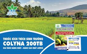 Colyna 200TB