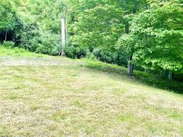 Royal Ln, Horner, WV 26372