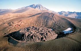 Image result for Craterostigma newtonii