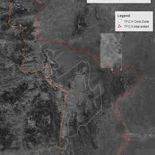 Image result for Thesium chimanimaniense