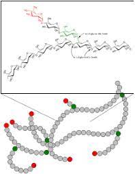 Some of the glucose is used by cells, such as brain tissue, for energy. Glycogen Wikipedia