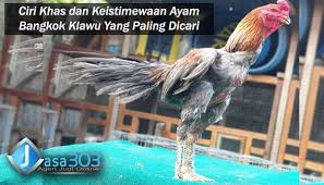 Pin Di Sabung Ayam Online