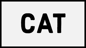 Drawing With Words Turn Word Cat Into A Cartoon Drawing For Kids Word Drawings Drawing For Kids Cartoon Drawing For Kids