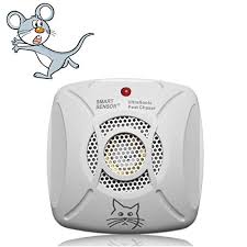 You should consult from the professional pest control services providers to completely get rid of all types of insects as termite, ants, bed bugs, lizards, cockroaches, wasps etc. 77 Off On Asc Peston Pest Out Electronic Ultrasonic Pest Repeller Electric Insect Killer Lantern On Flipkart Paisawapas Com