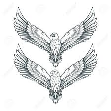 How do you draw a bald eagle? Set Of Eagles Bald Eagle Logo Wild Birds Drawing Head Of An Royalty Free Cliparts Vectors And Stock Illustration Image 100846079