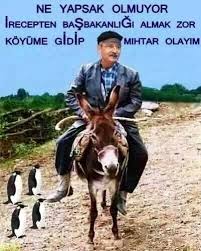 Kemal kılıçdaroğlu komik videolar kemal kılıçdaroğlu komik foto. Bildergebnis Fur Kemal Kilicdaroglu Komik Komik Komik Capsler Komik Seyler