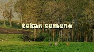 Tekan Semene Aftershine Agnesa Yosita Cover Lyrics Youtube