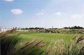 Image result for doha golf club images