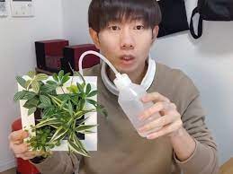 動画で紹介 無印良品 壁にかけられる観葉植物 で部屋に緑を 無印良品 無印 生活