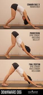 Yoga Q A Why I Couldn T Keep My Knees Straight During Downward Facing Dog Yoga Pose Ispirit Asia