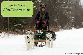 Maybe you would like to learn more about one of these? How To Grow A Youtube Account Blogpaws