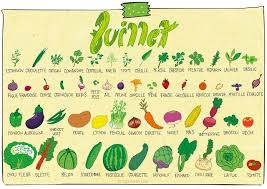 Calendrier Des Fruits Et Legumes De Juillet Pissenlit Fruits Et Legumes De Saison Fruits Et Legumes Legumes De Saison