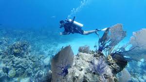 Do you know how old you have to be to get certified? 8 Gay Scuba Diving Trips And Liveaboards Not To Miss In 2021 2022 Nomadic Boys