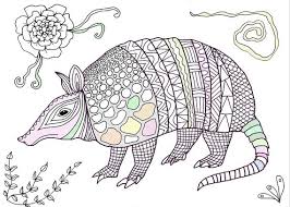 You can also enjoy coloring with your kids and create an original cute decor for your walls. Armadillo Coloring Adults Printable Colouring Kids Totem Etsy