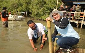 Pertanyaan penting terakhir yang perlu kita tanyakan pada diri sendiri adalah apa rencana berikutnya yang akan saya lakukan?. Ekowisata Mangrove Segera Dibangun Di Pantai Kota Cirebon Merahputih