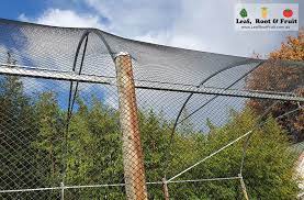 Check spelling or type a new query. Backyard Orchard Netted Structures Leaf Root Fruit Gardening Services