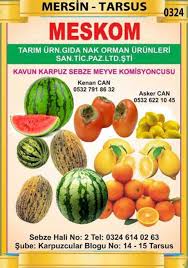 Meskom Komisyon Evi Hal Katalogu