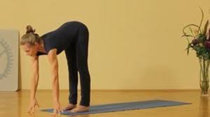 Yoga und meditation einführungsseminare finden jedes wochenende in unseren vier yoga vidya seminarhäusern statt. Alles Uber Den Sonnengruss Im Yoga Mit Anleitung